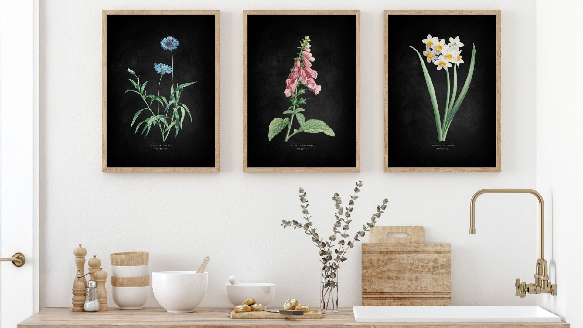 Botanicals Collection. Design Beach House Art Offers Timeless Botanical Collections Fusing Antique ...